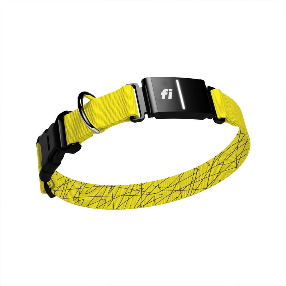 Fi Pet Tracker