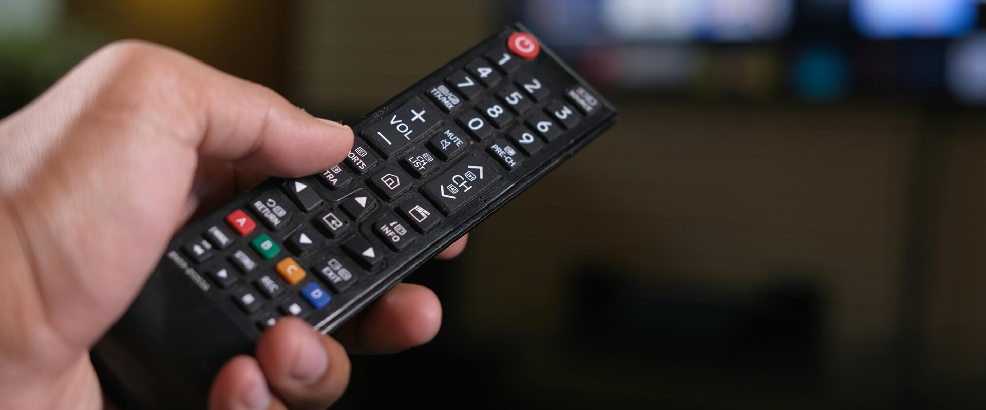 Smart Remotes & Controls Batteries