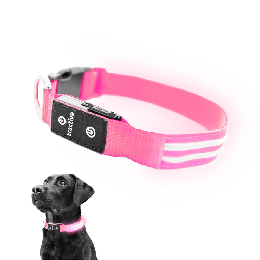 Tractive Pet Tracker