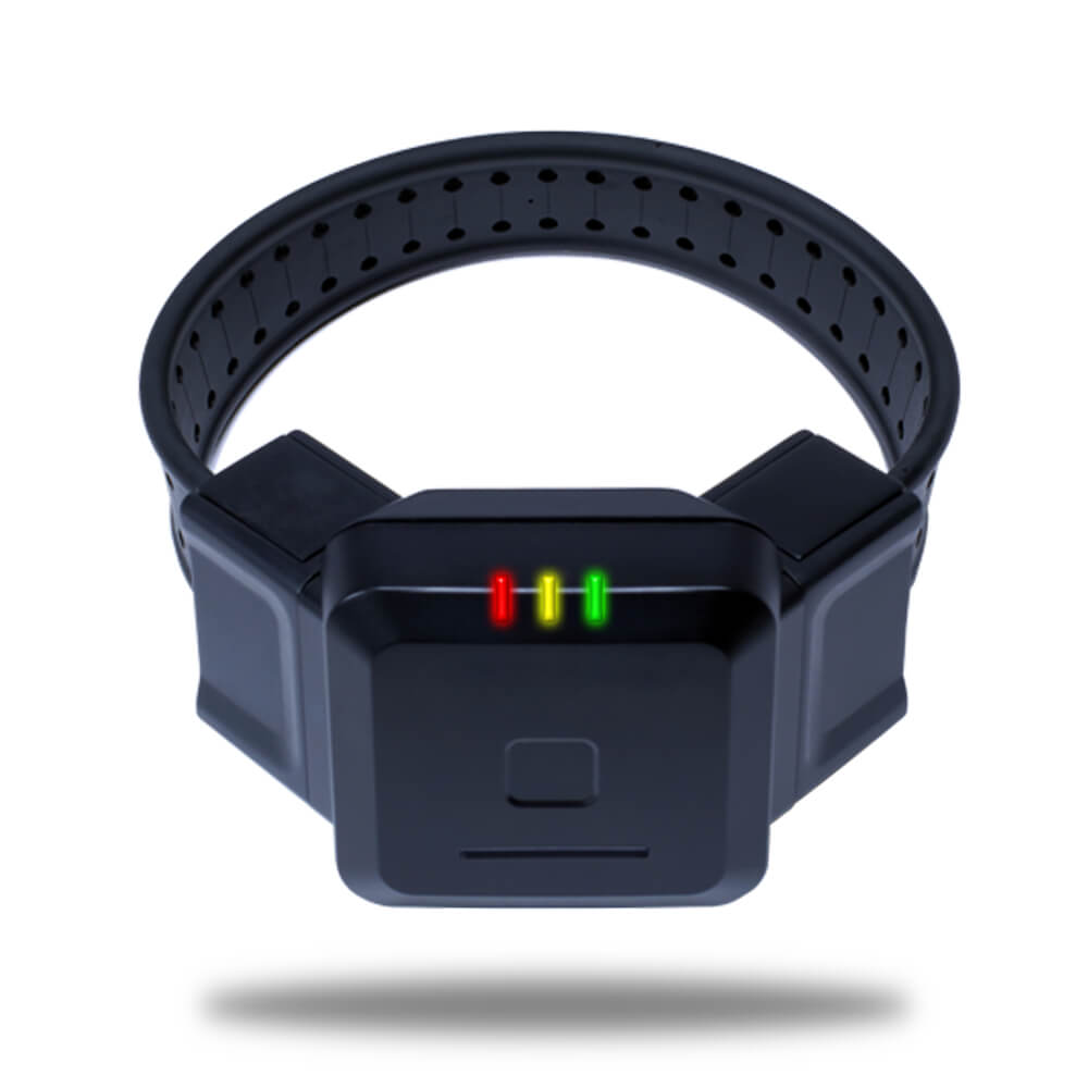 Securus Technologies Electronic Tagging & Offender Monitoring