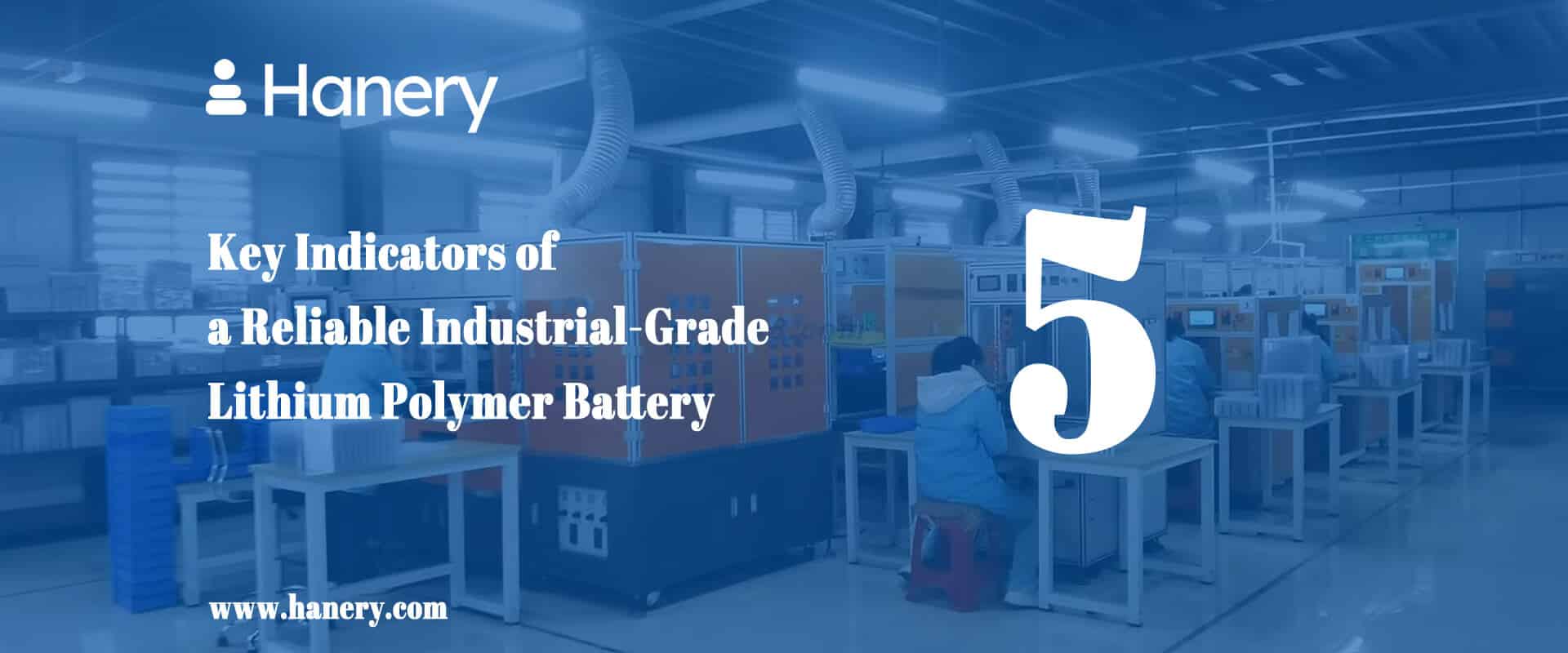Key Indicators of a Reliable Industrial-Grade Lithium Polymer Battery