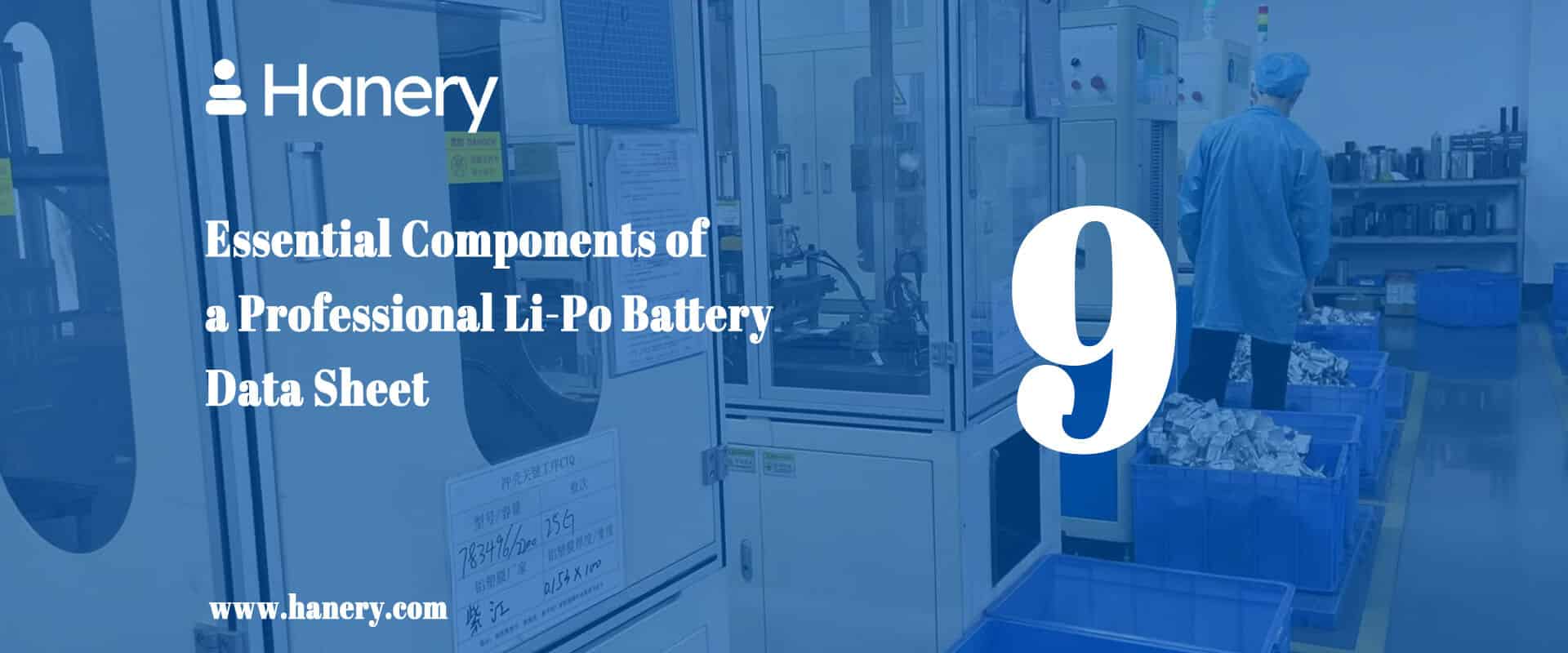 9 Essential Components of a Professional Li-Po Battery Data Sheet