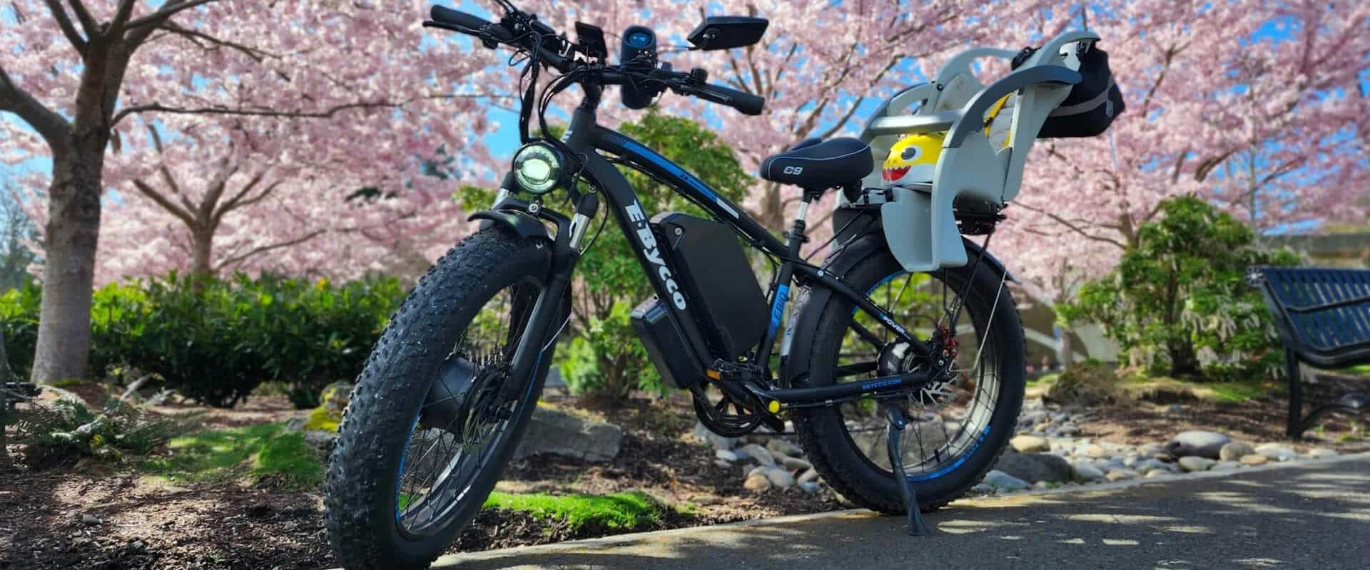 Light Electric Vehicles Batteries