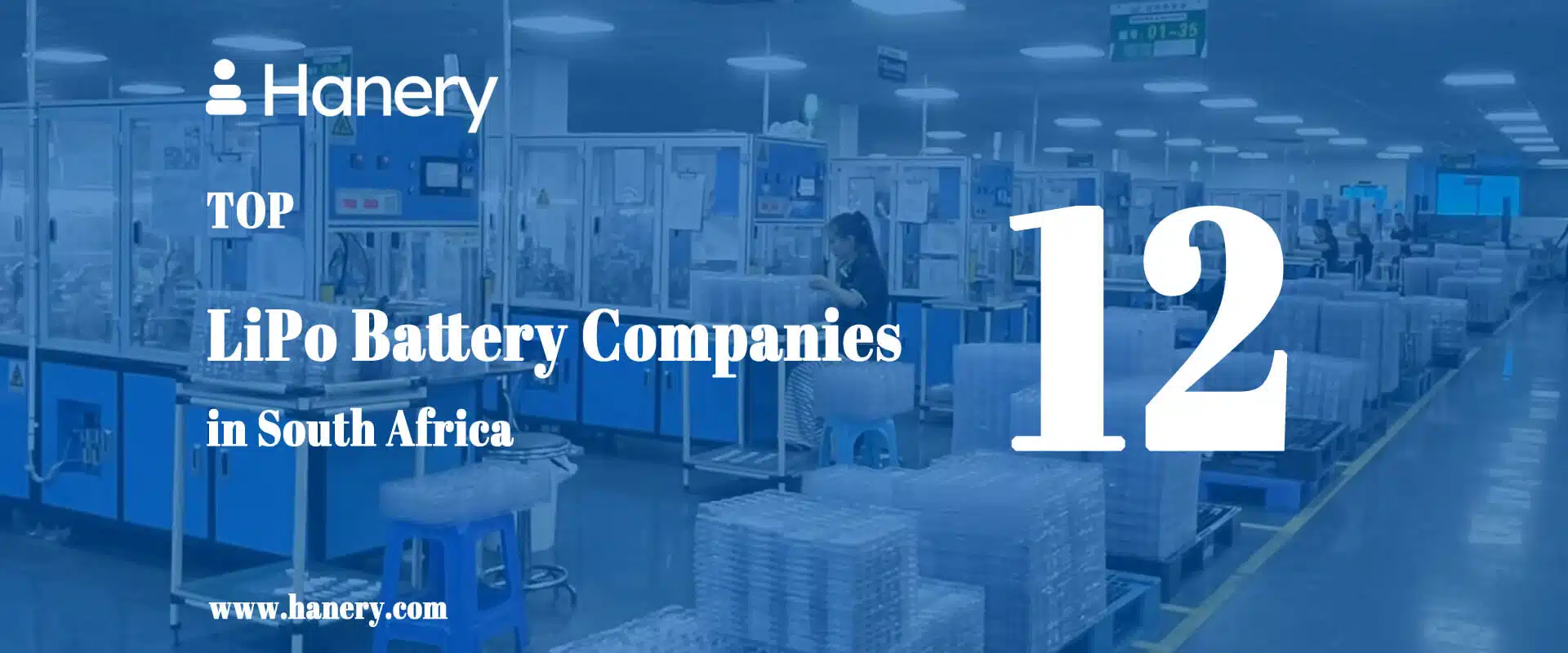 Top 12 LiPo Battery Companies in South Africa