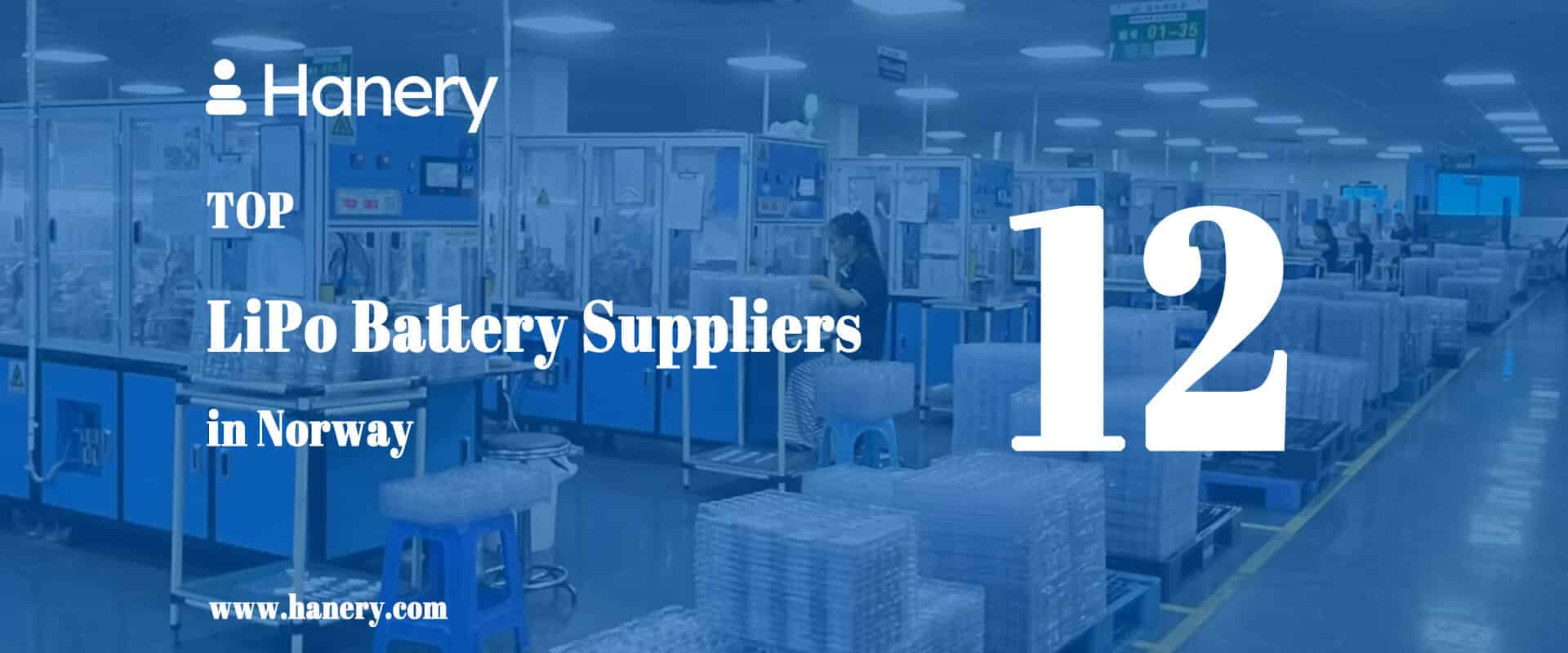 Top 12 LiPo Battery Suppliers in Norway