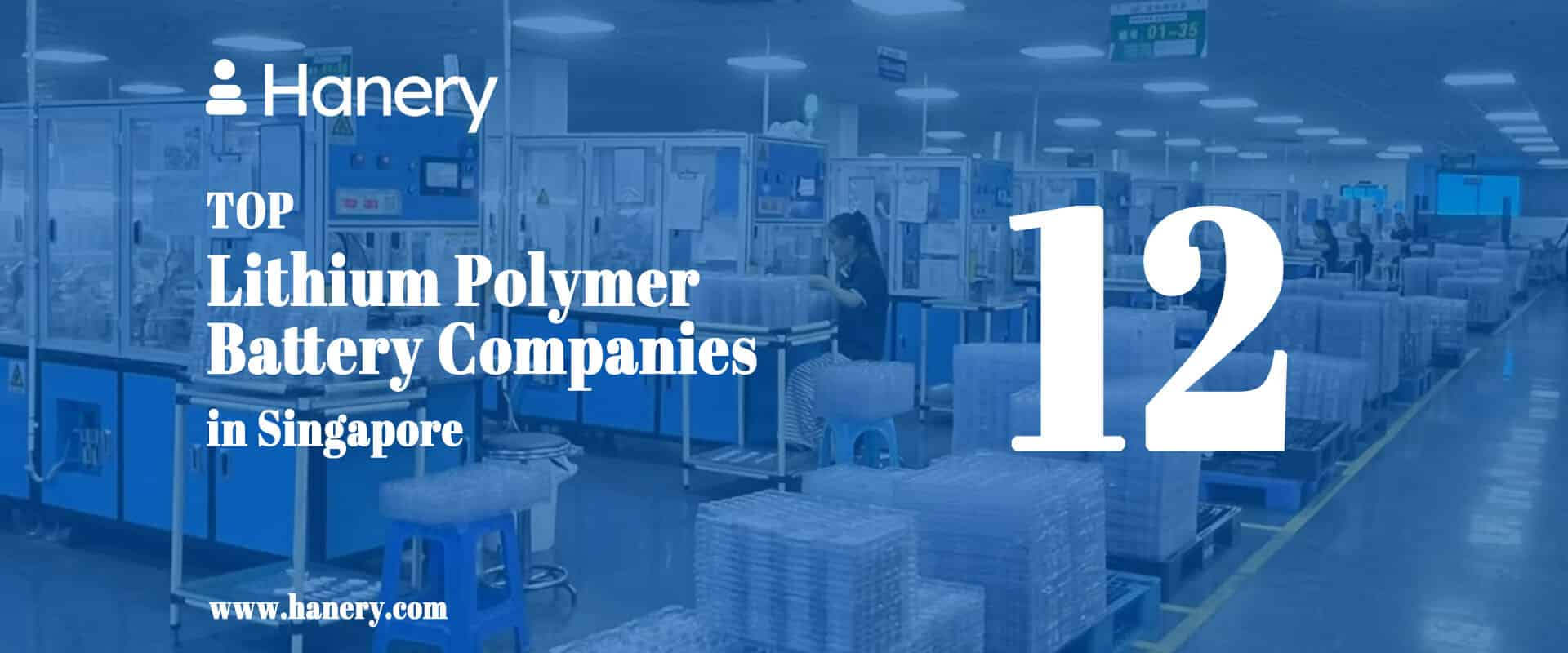 Top 12 Lithium Polymer Battery Companies in Singapore