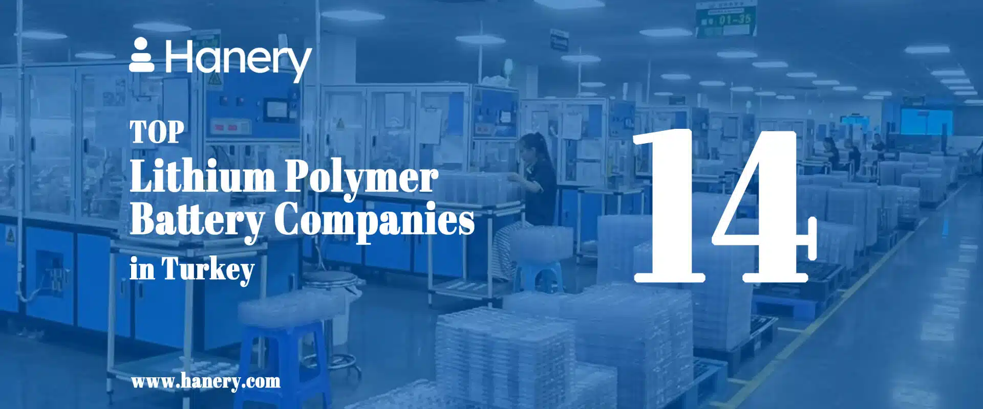 Top 14 Lithium Polymer Battery Companies in Turkey