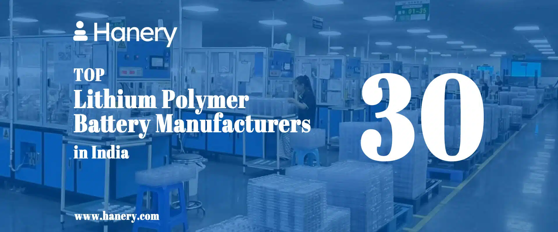 Top 30 Lithium Polymer Battery Manufacturers in India