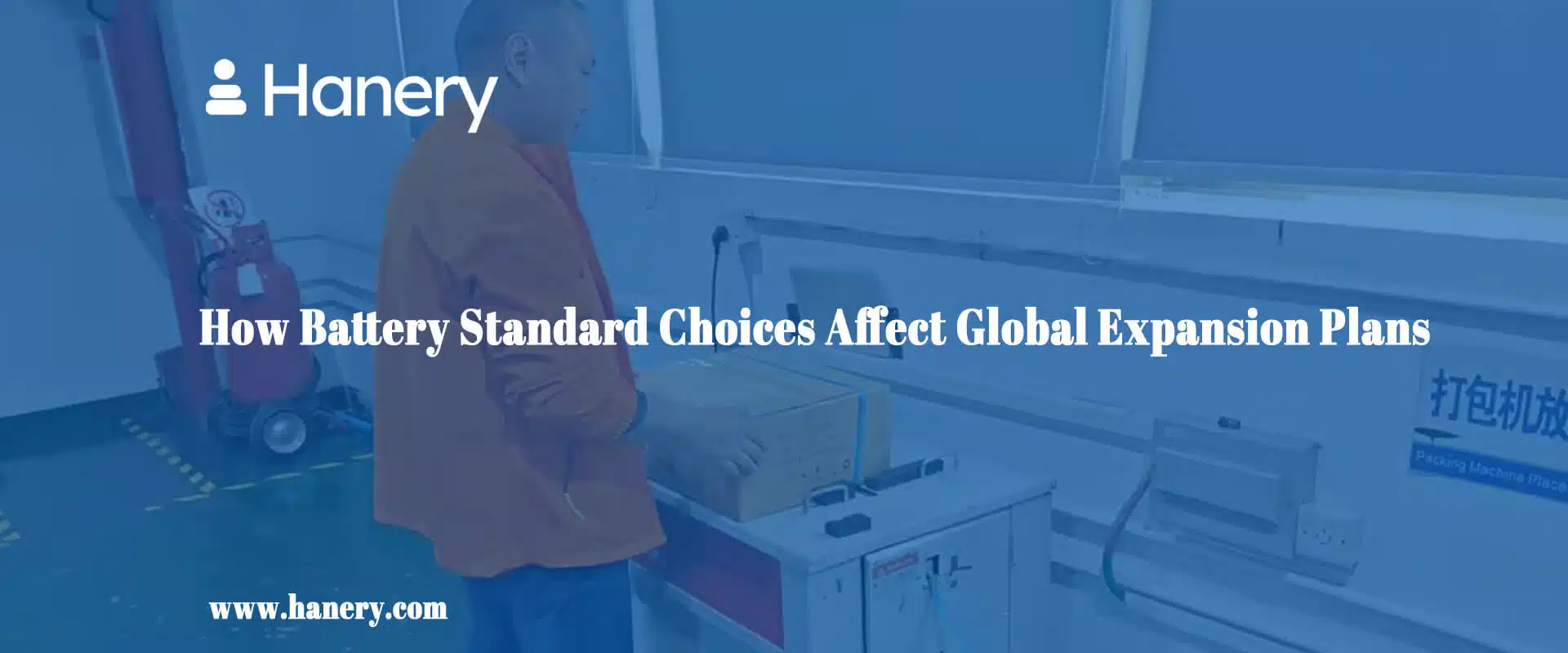 How Battery Standard Choices Affect Global Expansion Plans
